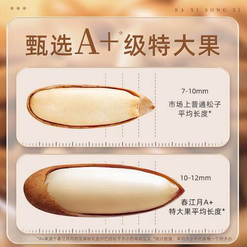 2025年新货巴西松子阿富汗手剥500g小包装原味大颗粒坚果零食特产