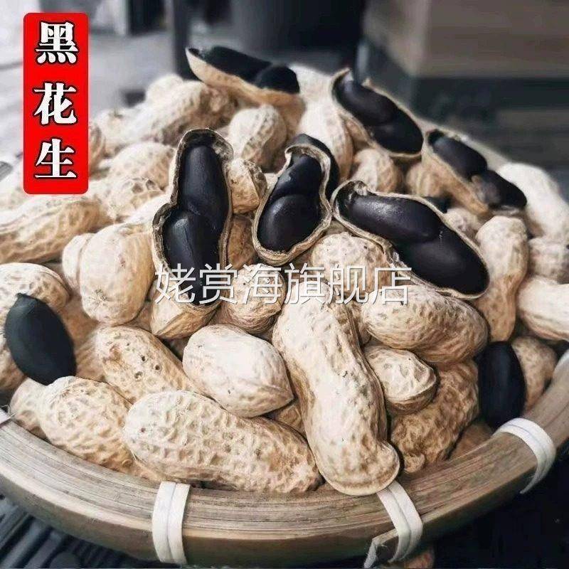 富硒黑花生带壳小粒原味黑花生味甜黑皮花生米500g黑花生云南特产