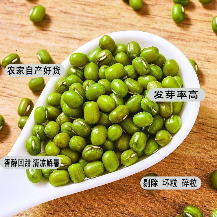 【新货】绿豆小粒5斤新鲜可发芽农家绿豆薄皮绿豆粥山药粉山药粉