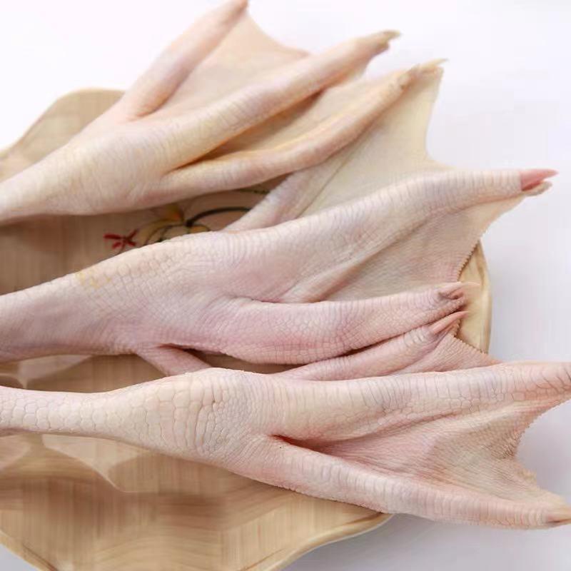 新货顺丰包邮新鲜特大鹅掌鹅爪鹅肉生鹅肉散养家庭饭店食材冰鲜
