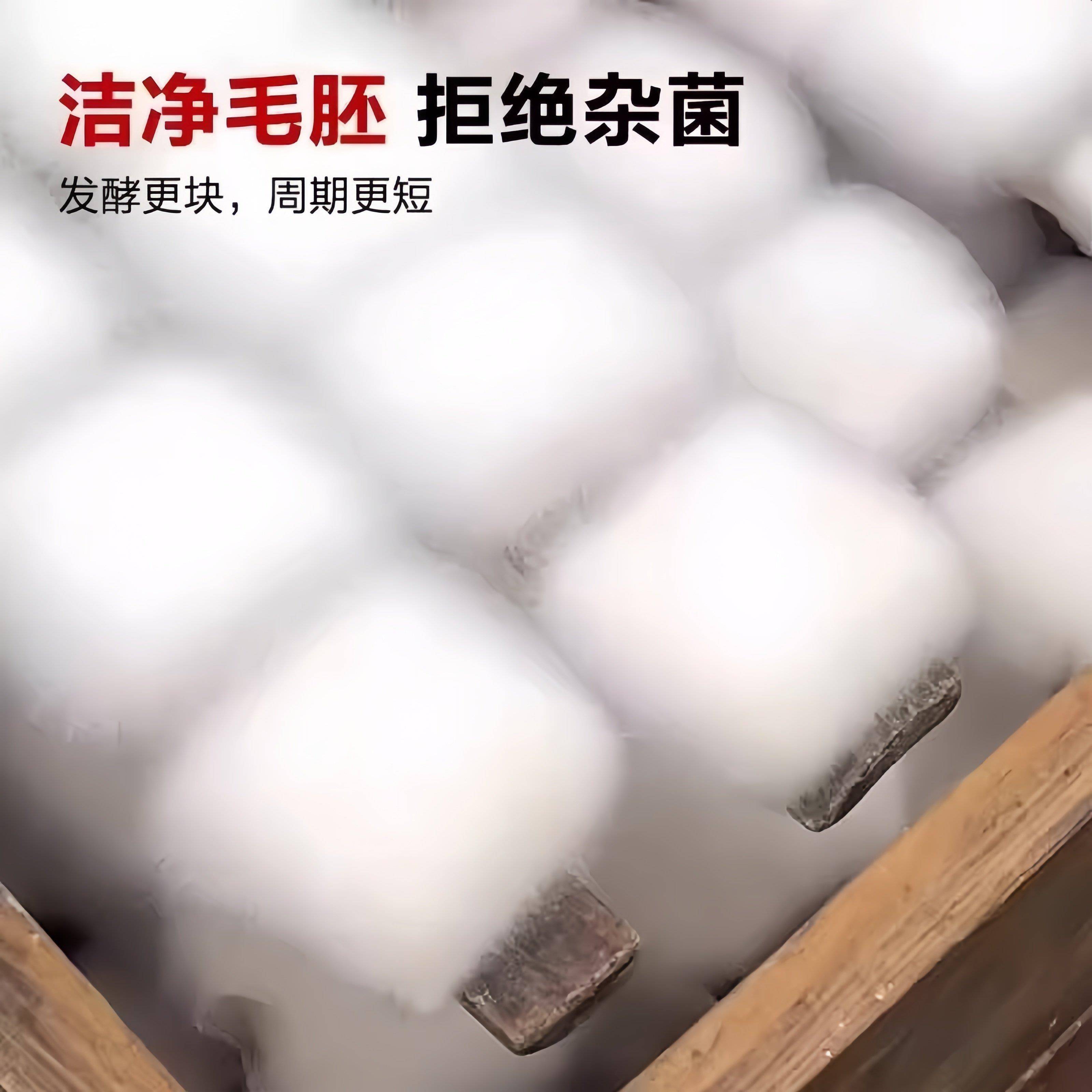 正宗乳发酵菌家用腐乳曲粉自制霉豆腐毛豆腐乳豆豉毛霉发酵菌粉