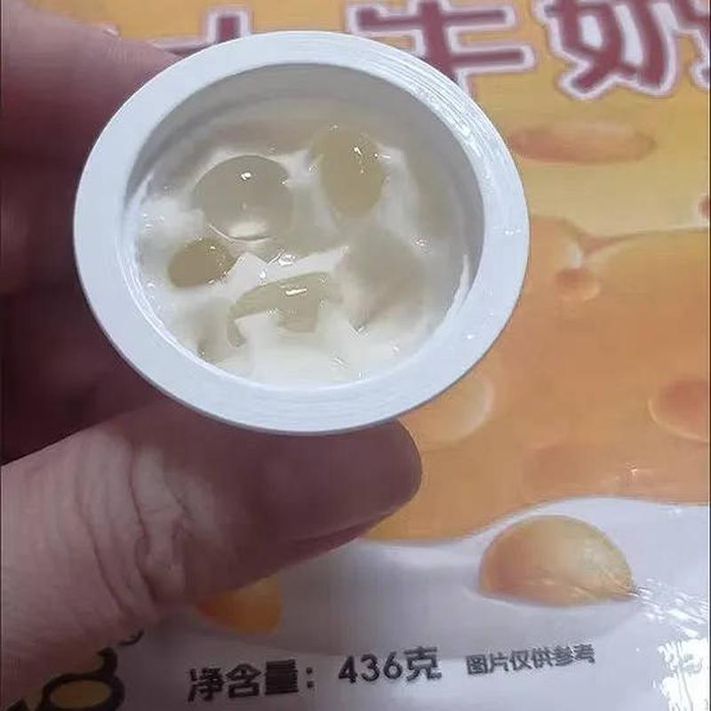 现货整箱牛奶芝士布丁奶酪零食果冻儿童网红宿舍解馋休闲小零食品