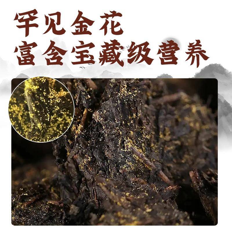 【茯源祥泾阳茯砖茶】经典三年茯茶 茶农直销 500g/砖同款