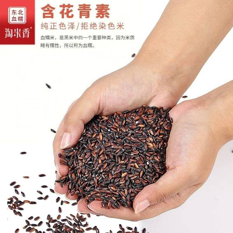 新货东北血糯米紫米新米粗粮粽子饭团奶茶店专用杂粮煮粥米饭软糯