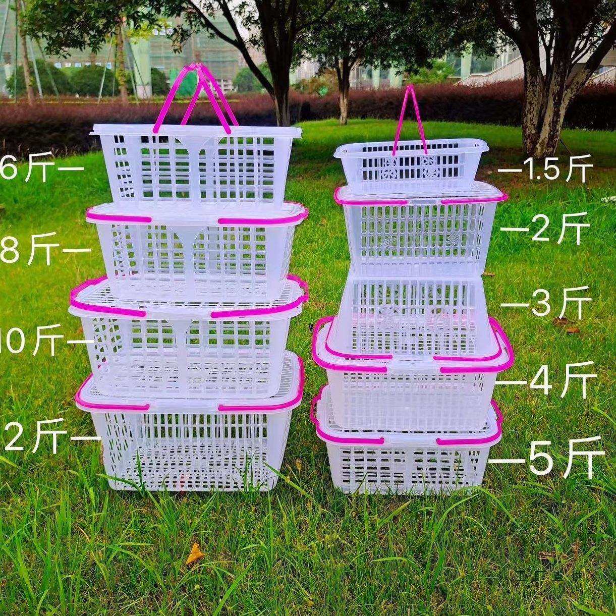 1-14斤新料配盖卡扣设计水果篮草莓杨梅鸡蛋蔬菜篮葡萄采摘手提篮,畜牧/养殖物资,畜牧/养殖器械,淘宝优惠券,粉丝福利购,淘宝优惠卷