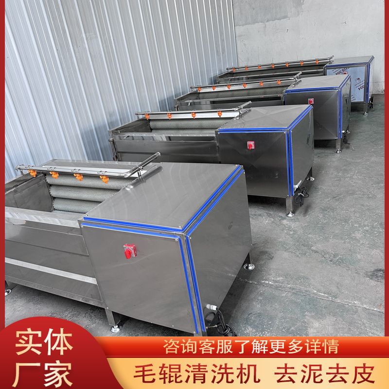 自动化毛辊清洗去泥脱皮机