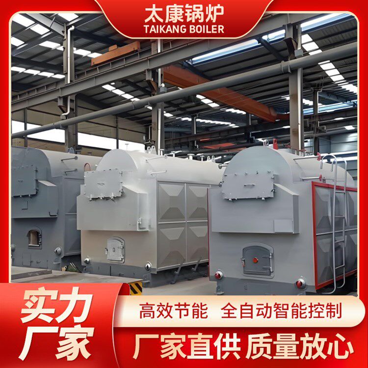 DZL生物质蒸汽锅炉全自动链条3吨4吨6吨8吨燃颗粒工业跨境热销