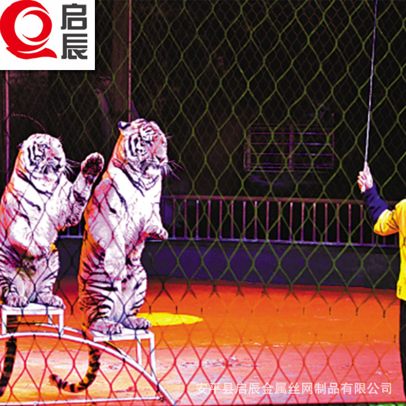 不锈钢绳网 马戏团表演用升降防护网 保护围网 不锈钢丝绳网厂家