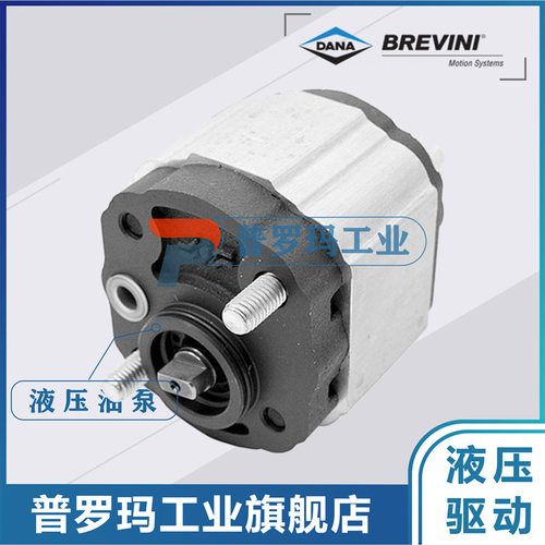 意大利布雷维尼Brevini液压齿轮泵OT100/OT200/OT300 液压泵 油泵
