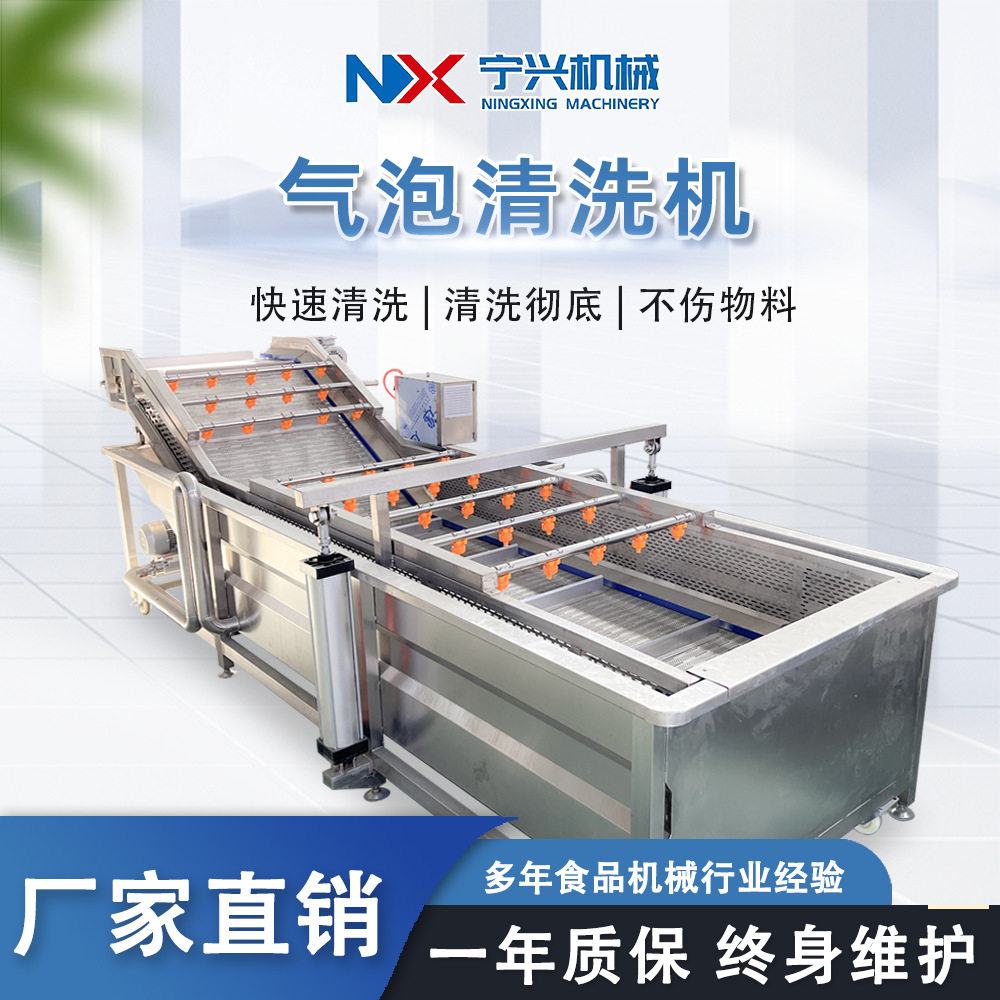 宁兴草莓气泡果蔬清洗机去农残