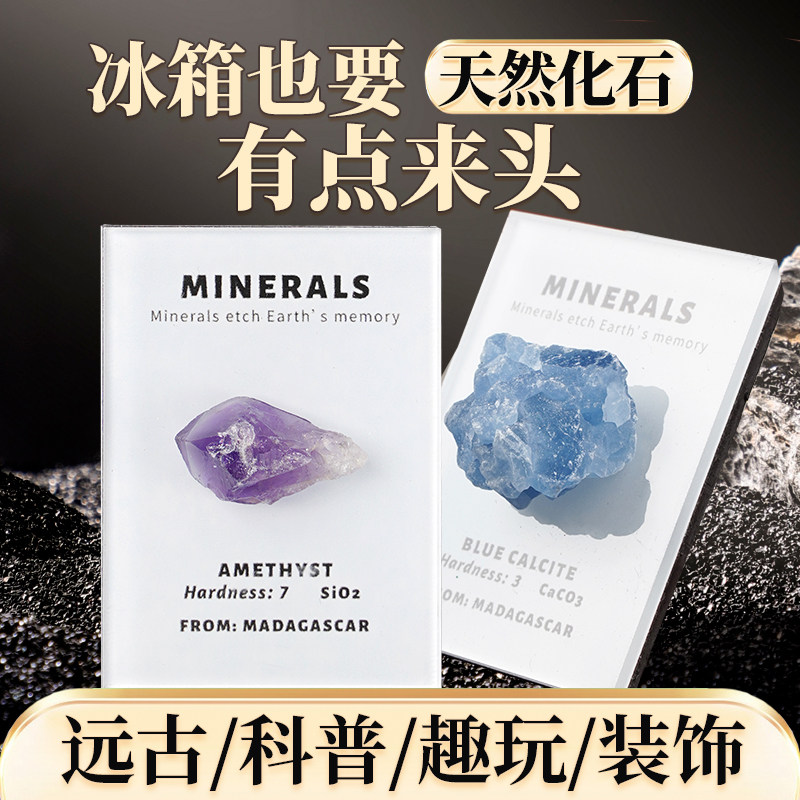 地球脉动天然化石冰箱贴磁贴水晶宝石裸石科普装饰摆件纪念品礼物