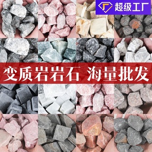 天然变质岩标本水晶原石矿物三大岩石地质科普矿石碎石岩石摆件