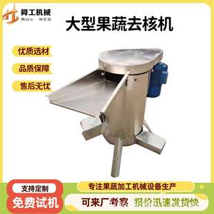 鲜酸枣大型去核设备不锈钢核果脱核机橄榄荔枝山楂破碎打浆去核