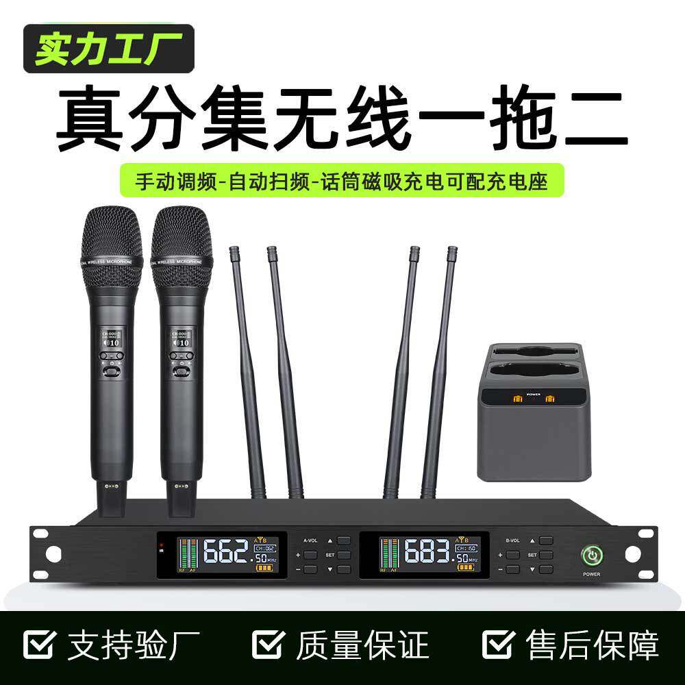 朗声工厂批发真分集一拖二专业无线麦克风演出直播会议话筒充电款