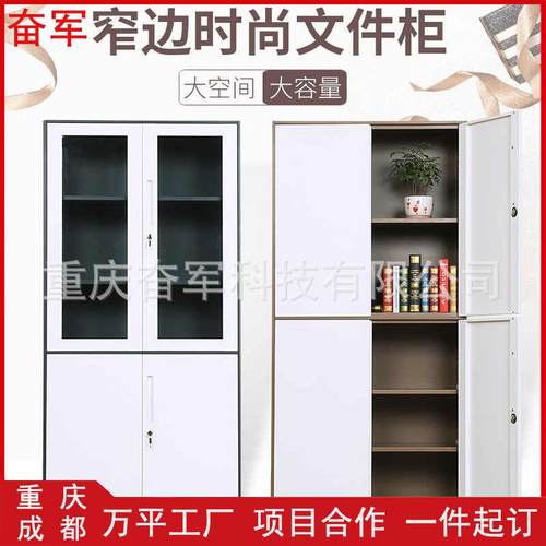 窄边套色文件柜铁皮柜钢制拆装资料柜办公柜储物柜矮柜财务凭证柜