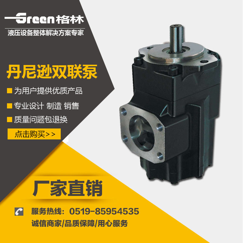 DENISON丹尼逊叶片泵T6EC-062-012-2R00 液压油泵电动铸铁双联泵
