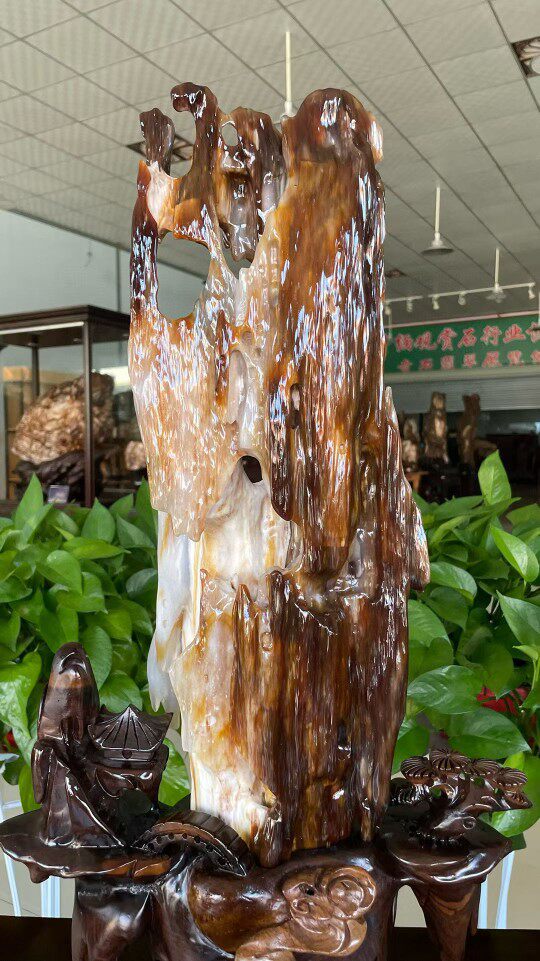 缅甸硅化木原石树化玉奇石客厅造型木冰种树摆件