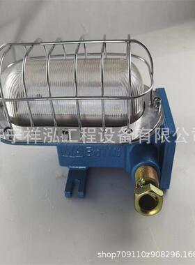 矿用隔爆型LED机车照明灯DGY18/127L矿用隔爆LED机车灯DGY18/48L