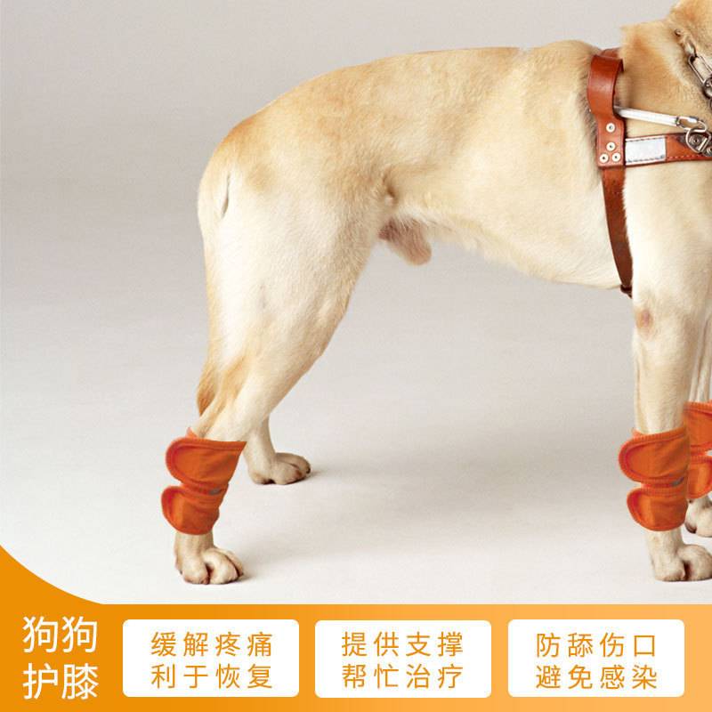 亚马逊新款宠物护膝狗狗术后护腿套恢复绑带支架腿部保暖套加厚