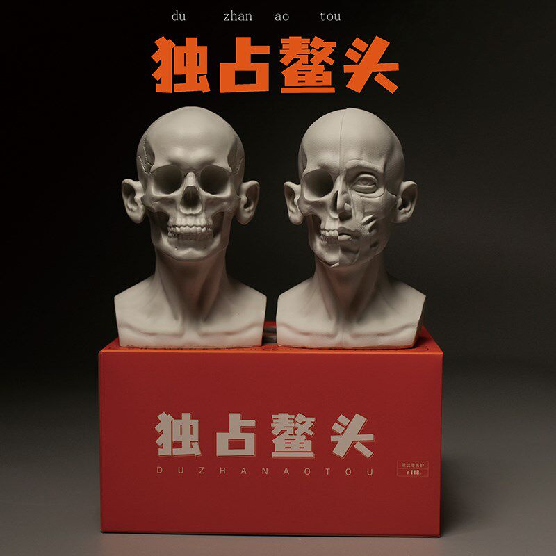 头头是道头像教具头骨石膏头像美术写生教具小型雕塑素描摆件人像