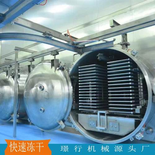 肉包梨片真空冻干机水饺馄饨冷冻干燥设备肉制品海鲜真空冻干机