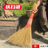 铁扫帚加厚金丝草小树枝厚观音草工厂车间专用环卫学校铁树铁扫把