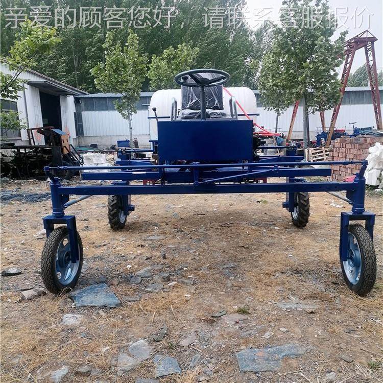 走座驾四轮消毒杀虫打机 三轮自式菜喷园撒药机 农田DGV四药轮药,机械设备,其他机械设备,淘宝优惠券,粉丝福利购,淘宝优惠卷