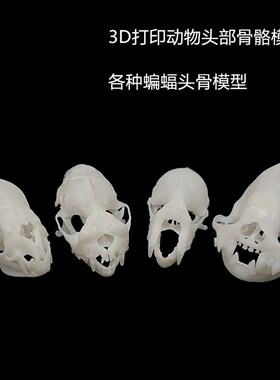 新款3D打印动物骨骼标本高精度模型光敏树脂摆件装饰礼物收藏定制