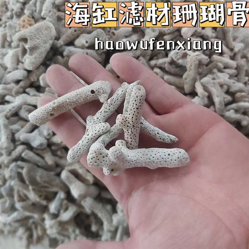 海缸滤材珊瑚骨鱼缸滤材优质珊瑚砂珊瑚石碎珊瑚骨装饰水族造景