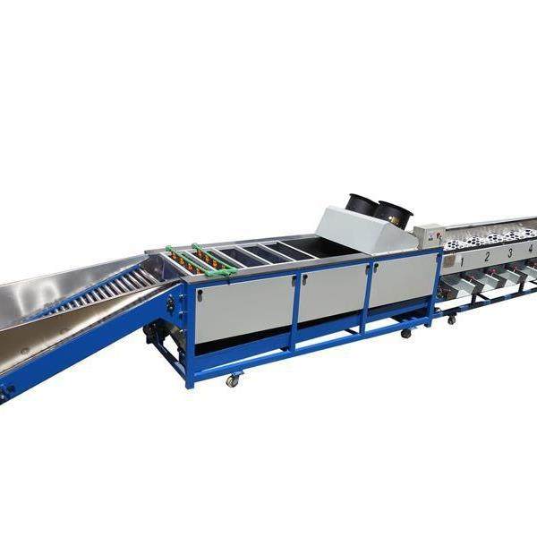 脐橙清洗分选机柑桔洗果分级设备小青柑选果机石榴分拣机,清洗/食品/商业设备,其他食品加工设备,淘宝优惠券,粉丝福利购,淘宝优惠卷