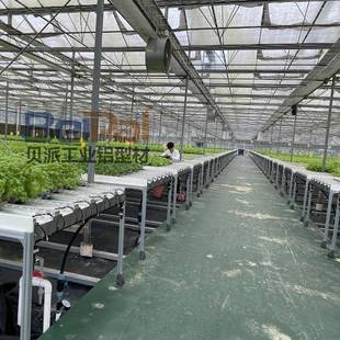 定制潮汐苗床移动铝合金框架植物灌溉周转车温室加温机农业大棚