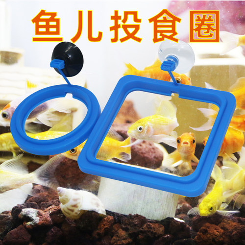鱼缸喂食圈器金鱼乌龟投食鱼食