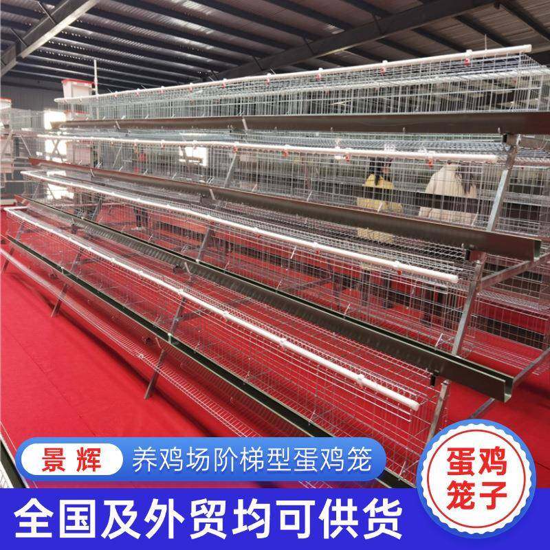 蛋鸡笼A型鸡笼厂家镀锌家用养殖笼设备三层四层阶梯式蛋鸡养殖笼,畜牧/养殖物资,特种养殖设备,淘宝优惠券,粉丝福利购,淘宝优惠卷
