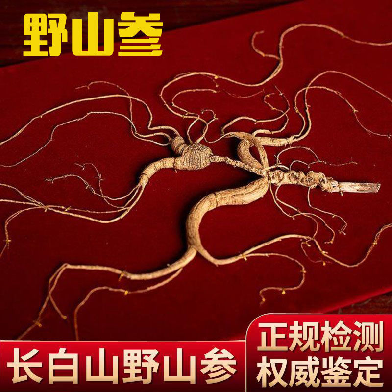 东北特产长白山人参野山参礼盒装干林下参山参泡酒带礼品高档送礼