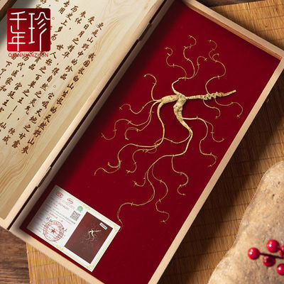 野山参礼盒长白山人参林下参干移山参人参礼盒装东北特产山参礼盒