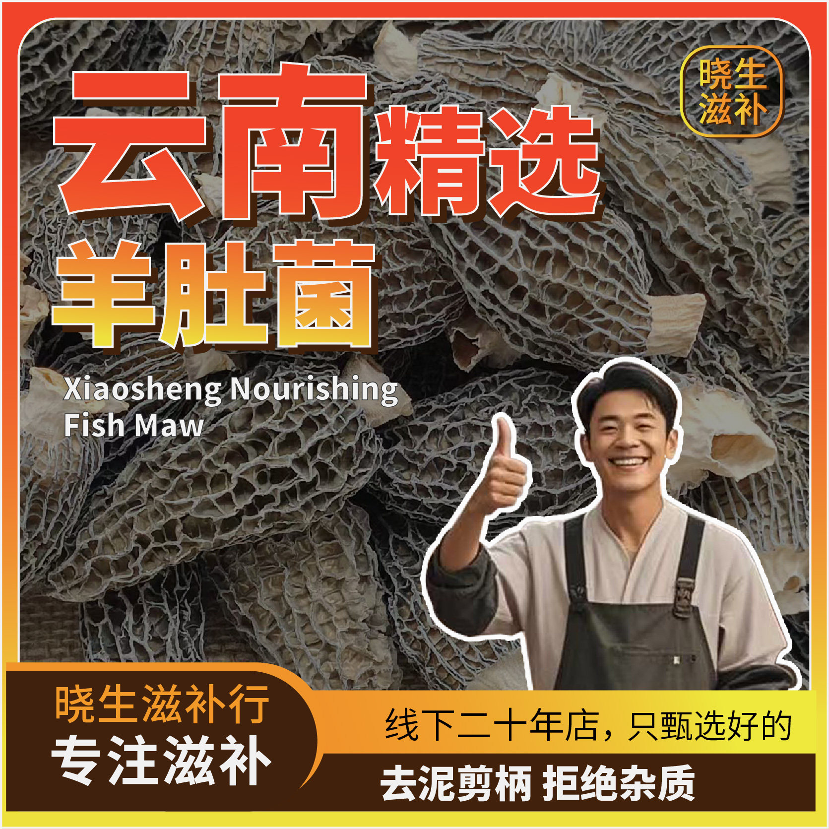 6cm左右云南剪柄羊肚菌菇煲汤