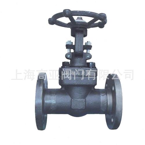 甄选Z41H-16C/25C/40C A105锻钢锻打法兰闸阀 温蒸汽导热油闸阀DN