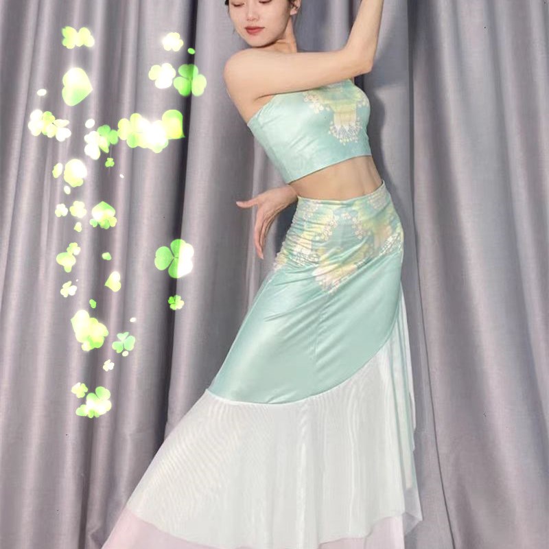 傣族舞蹈服成人女艺考练功服裙孔雀E舞服装演出表演鱼尾裙服动动