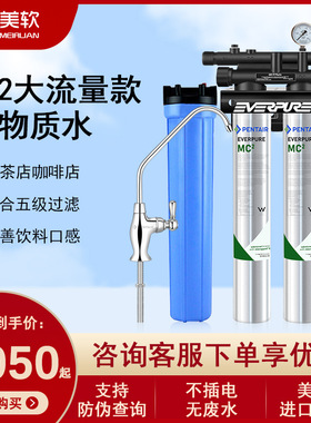 爱惠浦Everpure美国MC2双联净水器商用直饮奶茶水吧咖啡店净水机