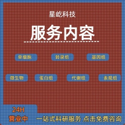 Materials Studio分子动力学模拟ms软件中英文视频MS中文系列教学