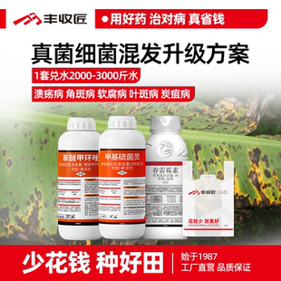 苯醚甲环唑甲基硫菌灵春雷霉素农药组合杀菌软腐溃疡病炭疽叶斑病