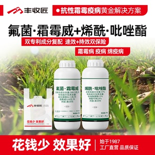 氟菌霜霉威烯酰吡唑酯农药组合防治霜霉病疫病番茄黄瓜葡萄杀菌剂
