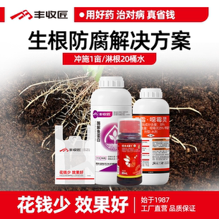 生根防腐套餐农药组合甲霜噁霉灵根腐病茎基腐病死苗烂根鱼蛋白