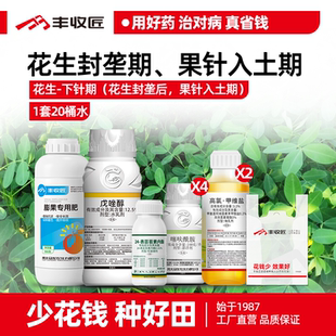 花生封垄期专治疯长白绢病空壳控旺补钙叶斑锈病蚜虫蓟马甜菜夜蛾