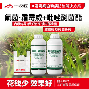 氟菌霜霉威吡唑醚菌酯农药组合霜霉疫病白粉病小麦黄瓜马铃薯套餐
