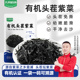 九月 1包头茬免撕免洗去沙干货旗舰店 诗有机霞浦头水紫菜50g