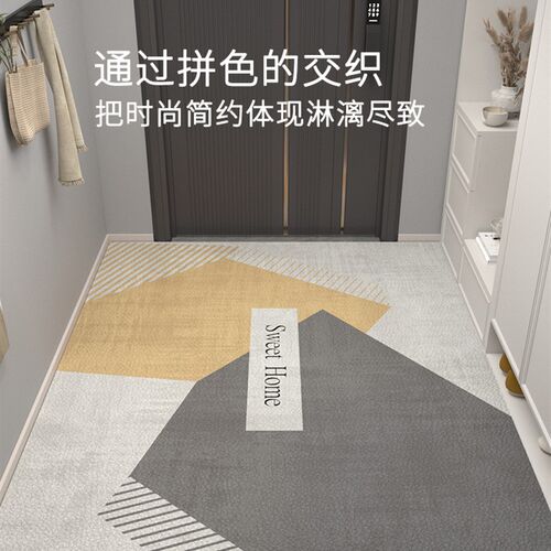 入户门地垫pvck免洗可擦进门门口脚垫新款玄关门垫可裁剪皮革地毯