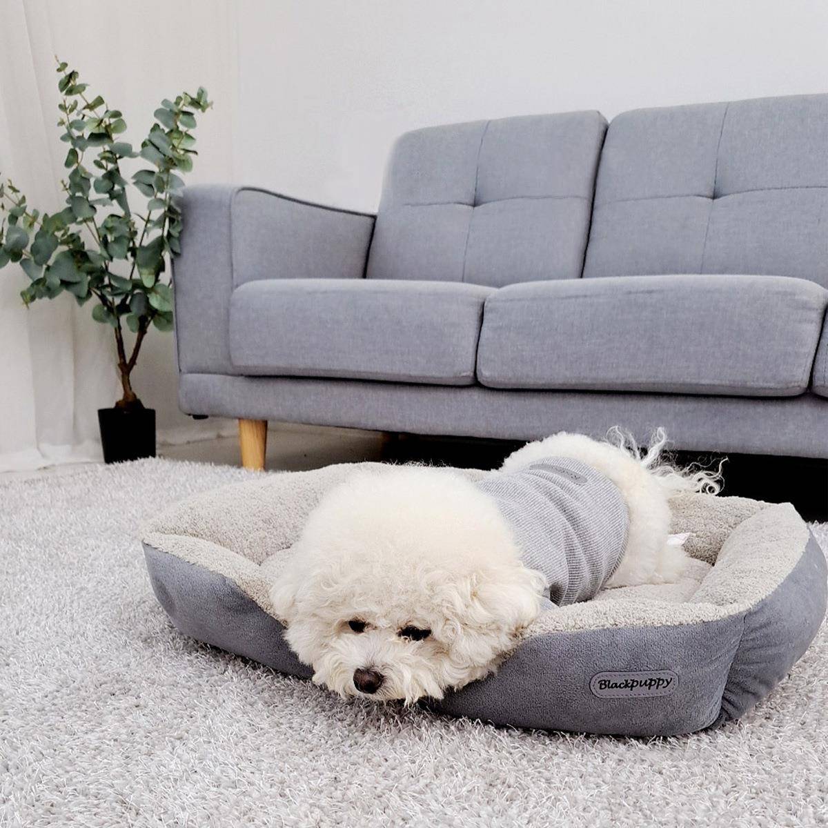 韩版四季通用款宠物窝夏季猫窝屋房猫笼泰迪狗窝狗屋狗别墅可拆洗