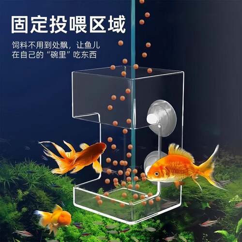 鱼缸小鱼喂食器鱼食投喂器防飘散喂鱼投食圈喂食圈下沉透明亚克力