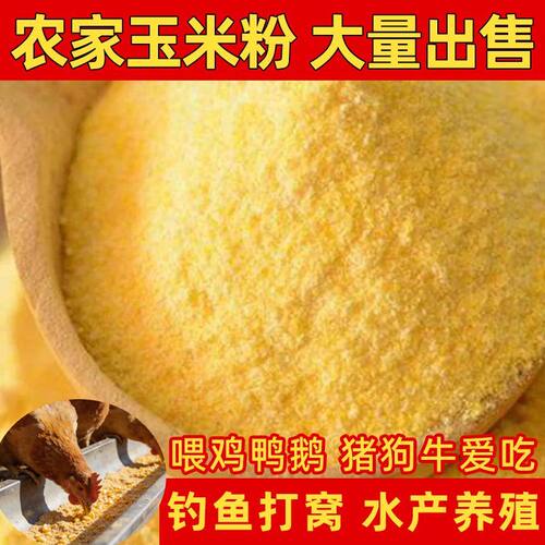 玉米面粉新鲜苞米面小碎碴子喂食